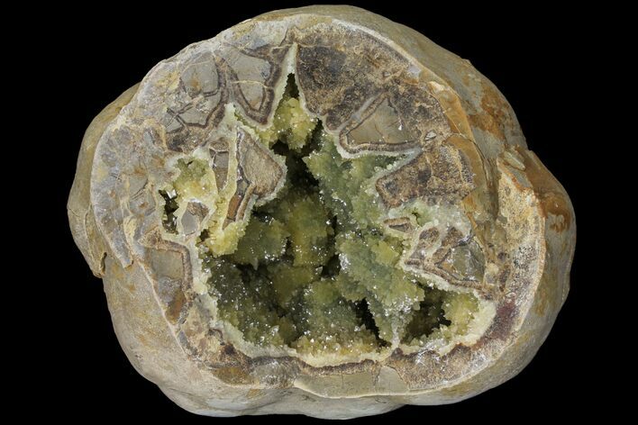 Yellow Crystal Filled Septarian Geode - Utah #98393